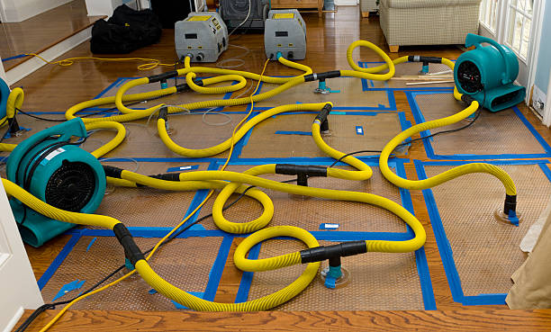 Professional Sewage Cleanup technician working in Tipton, MO